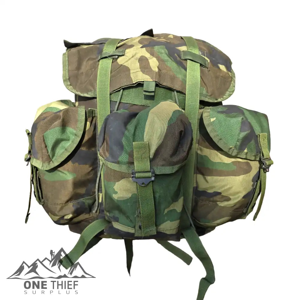 Alice Medium Rucksack Camping & Hiking