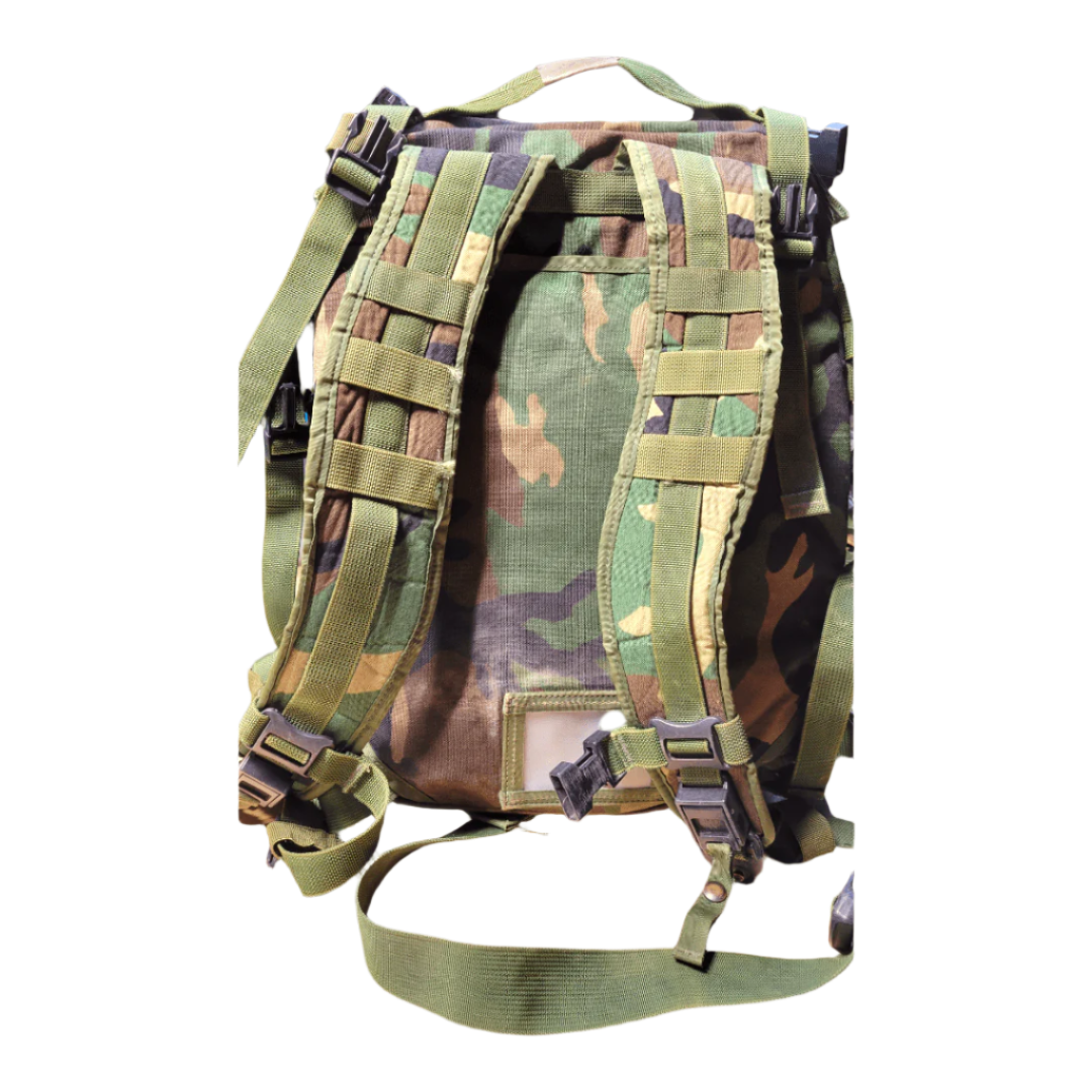 onethiefsurplus M81 Woodland MOLLE II Assault pack (Rare) (Grade 2+)