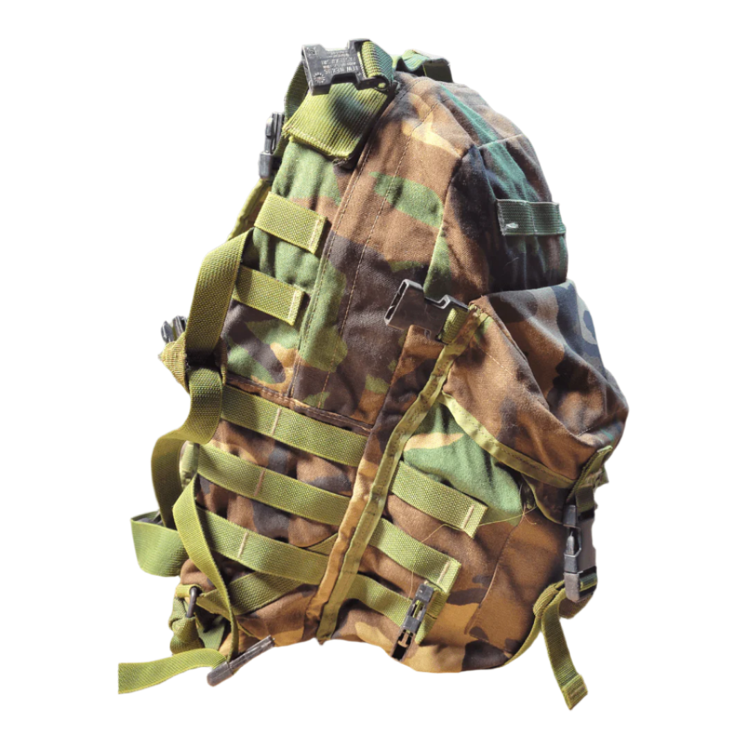 onethiefsurplus M81 Woodland MOLLE II Assault pack (Rare) (Grade 2+)